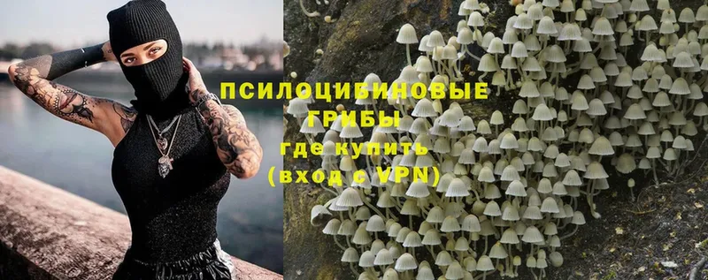 Галлюциногенные грибы Magic Shrooms  Киржач 